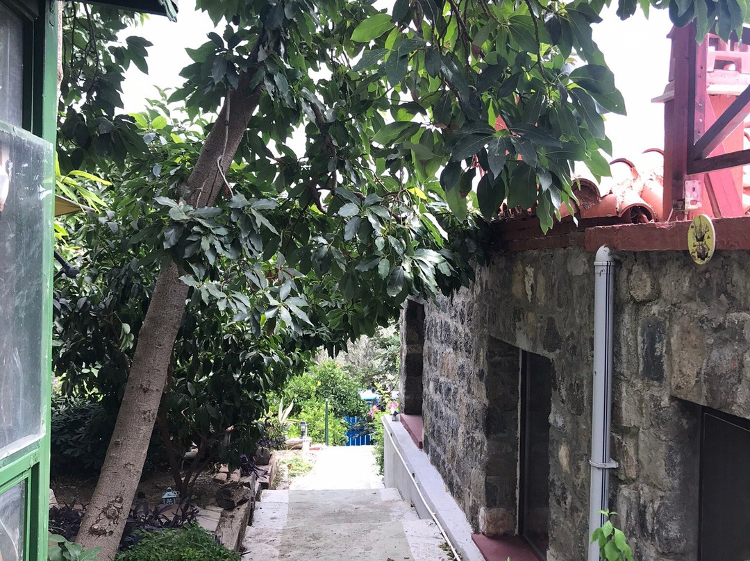 Karaburun Bahce主图