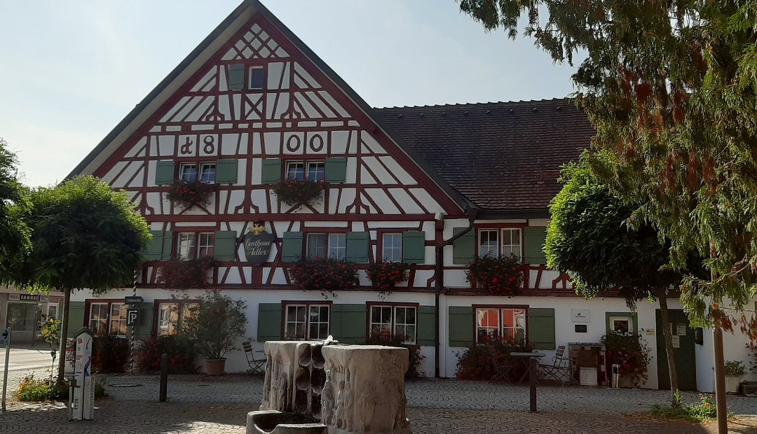 Hotel & Restaurant Adler - BIO-zertifiziert主图