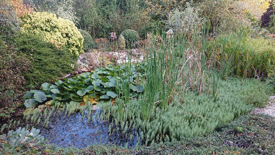 Le Jardin de Marie景点图片