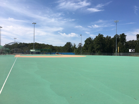 Peachtree Ridge Park-苏万尼必去景点