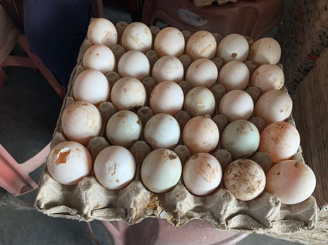 Joo Hong Chan Kuala Kurau Salted Duck Egg景点图片