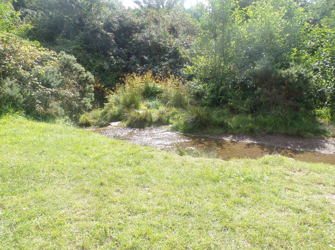 Tuckingmill Valley Park