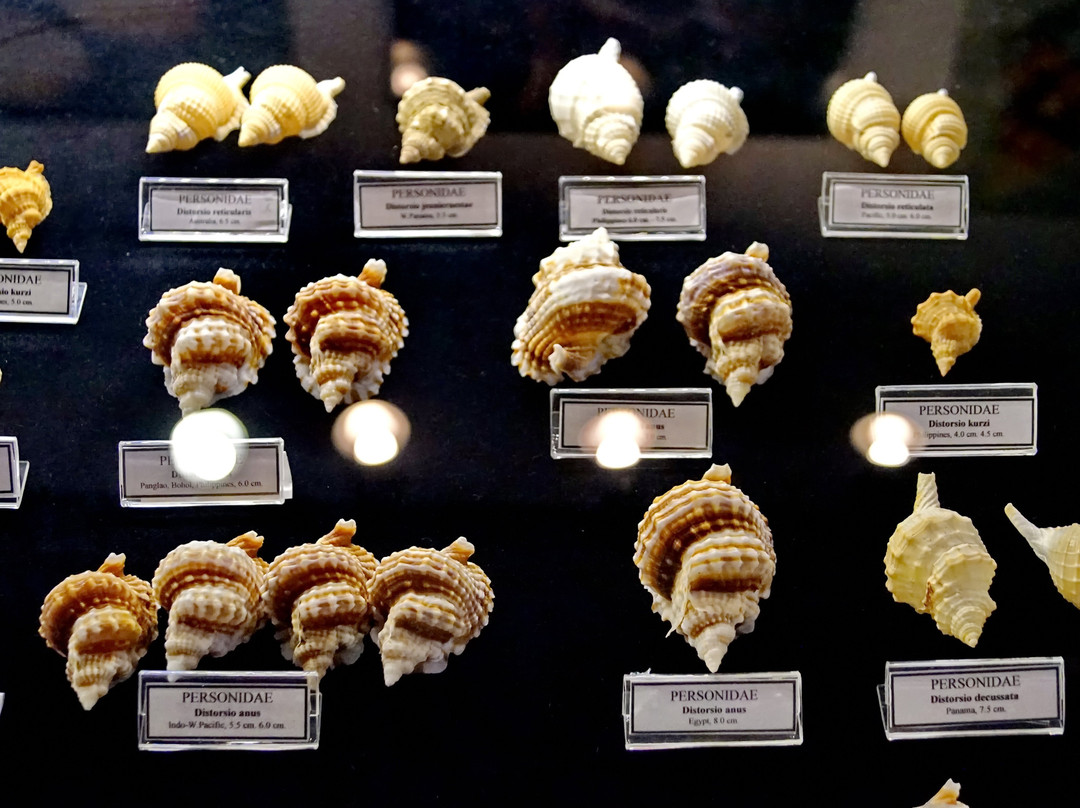 Bodrum Maritime Museum景点图片