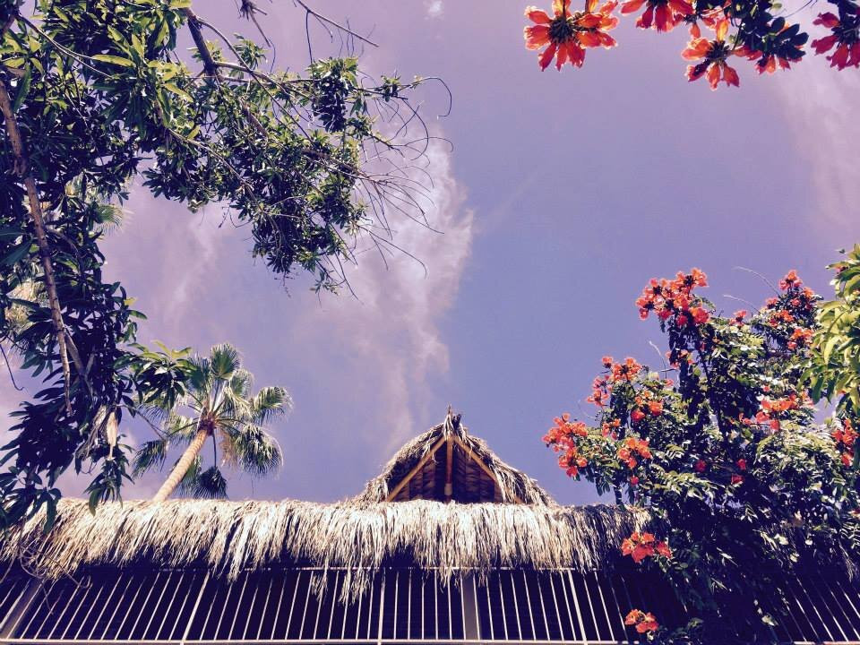 Hotel Posada Senor Manana主图