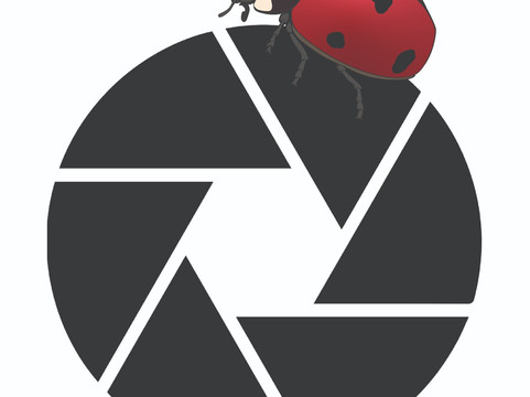 Aussie Macro Photos-凯恩斯必去景点