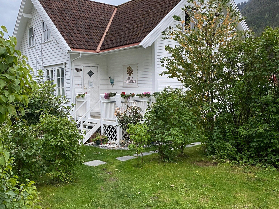 Villa Solvorn主图