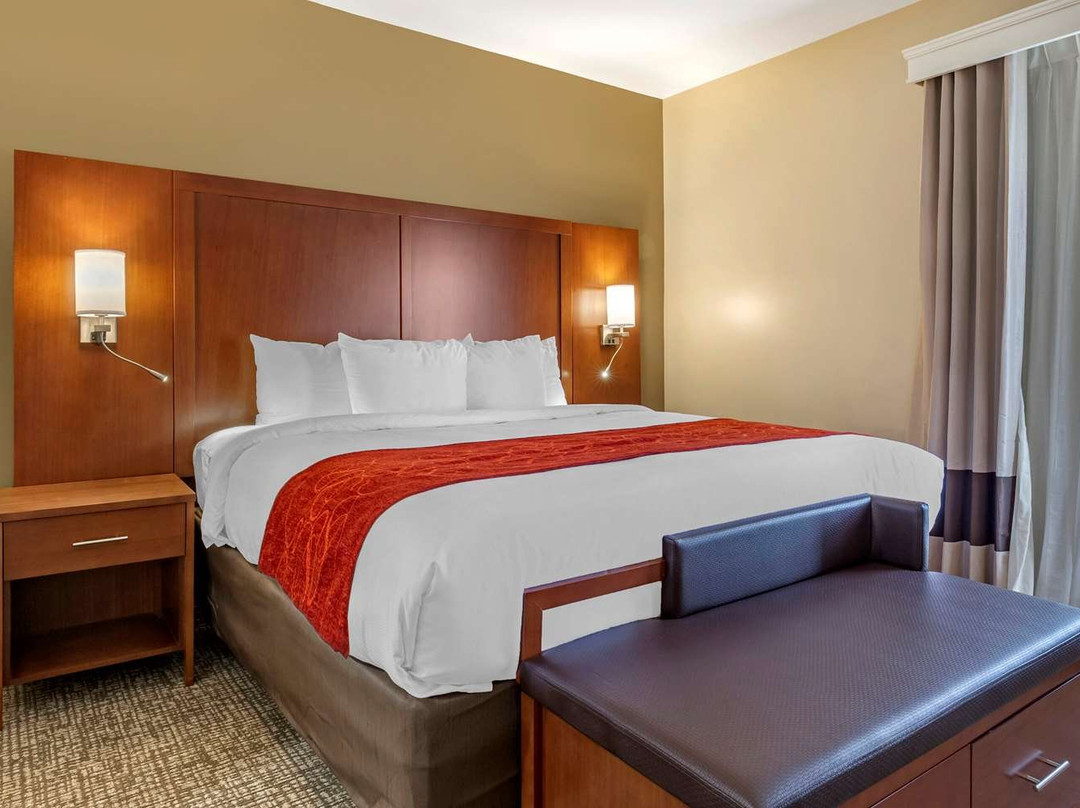 Comfort Suites Near Camp Lejeune主图