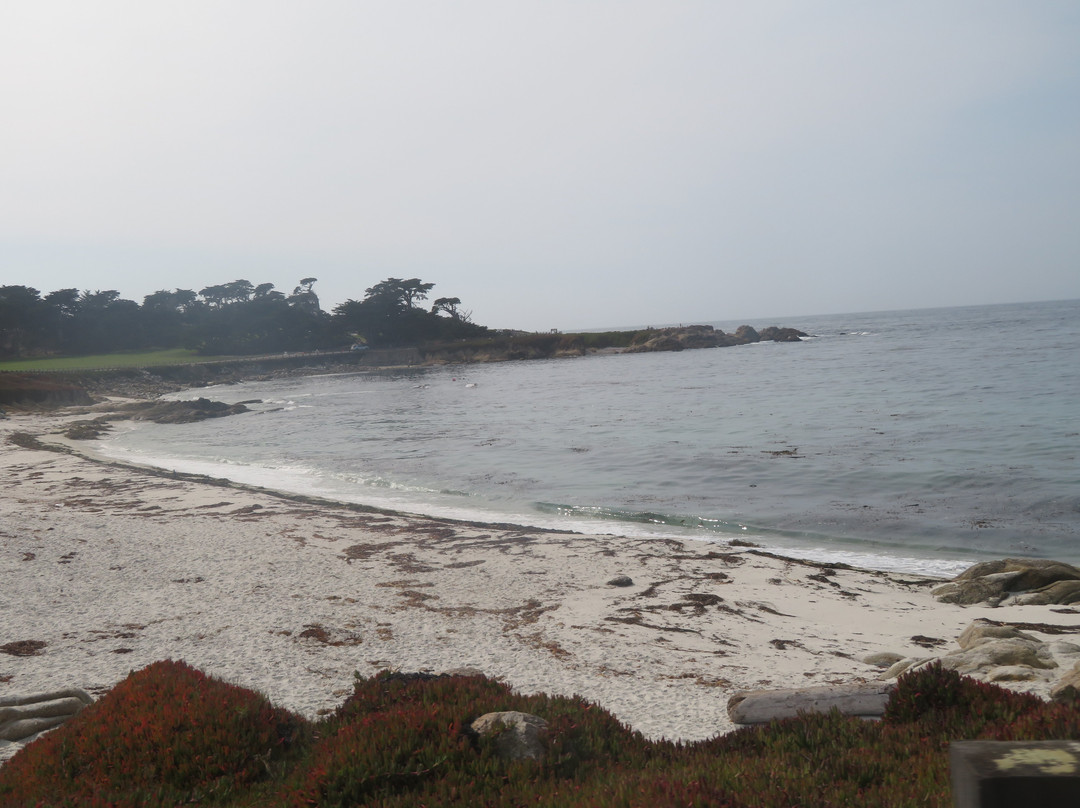 Fanshell Overlook-圆石滩必去景点