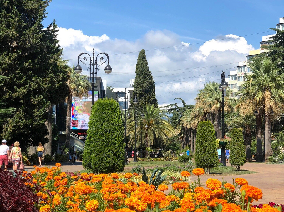 Navaginskaya Street-索契必去景点