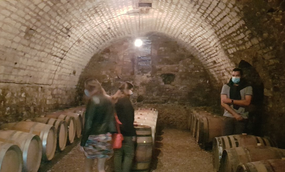 Domaine PL & JF Bersan-Saint-Bris-le-Vineux必去景点