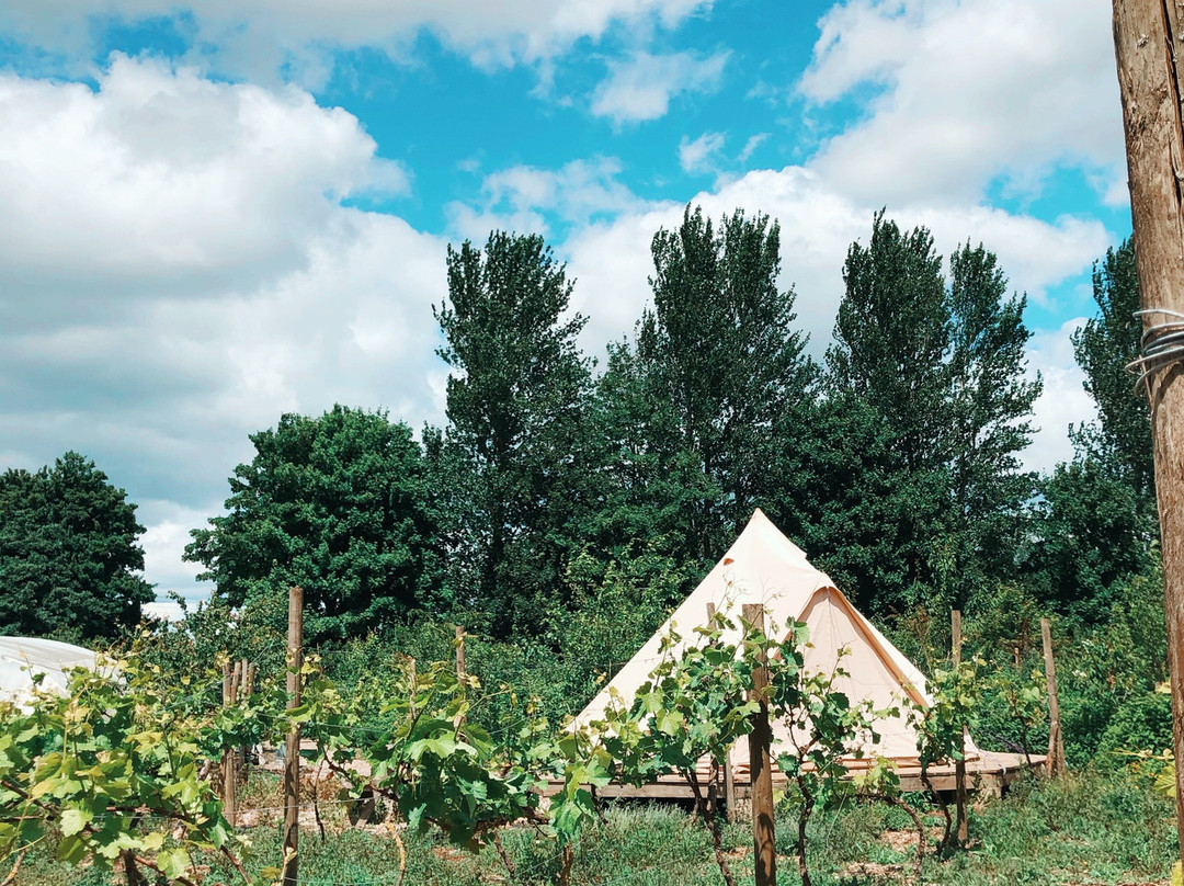 The Holford Arms主图