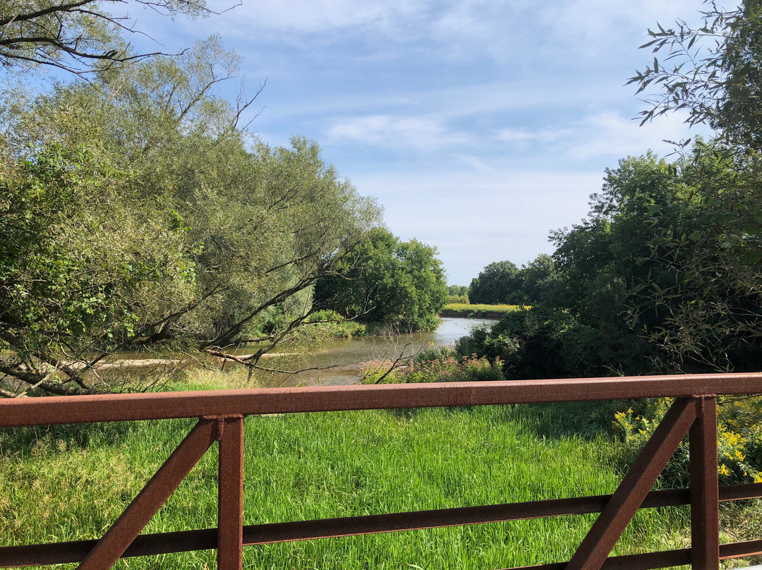 Meadowvale Conservation Area-米西索加必去景点