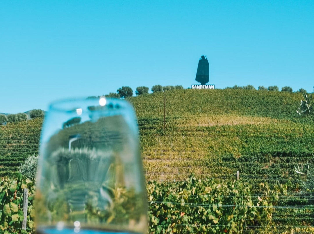 Quinta da Pacheca景点图片