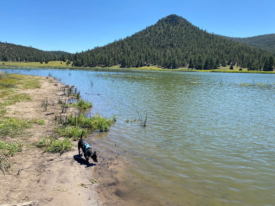 Quemado Lake景点图片