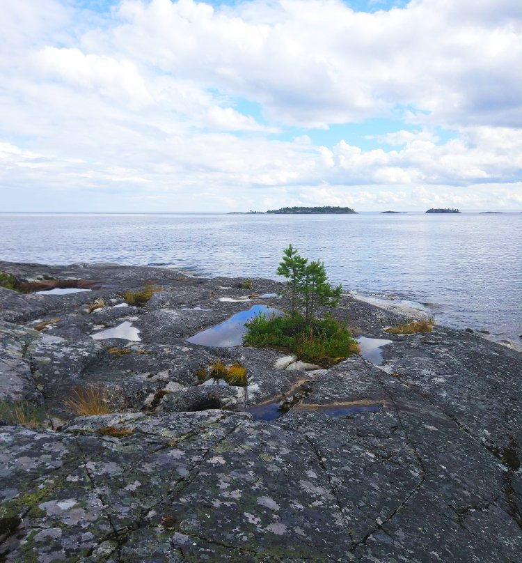 Koionsaari Island景点图片