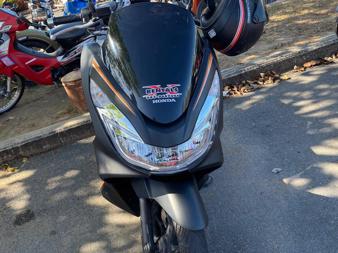 X Motorbike Rentals景点图片
