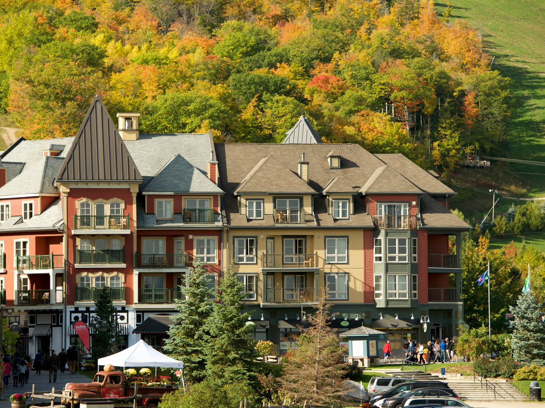 Village Suites by Blue Mountain Resort主图