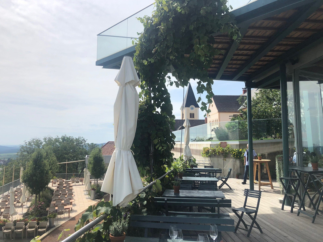 Gesamtsteirische Vinothek景点图片