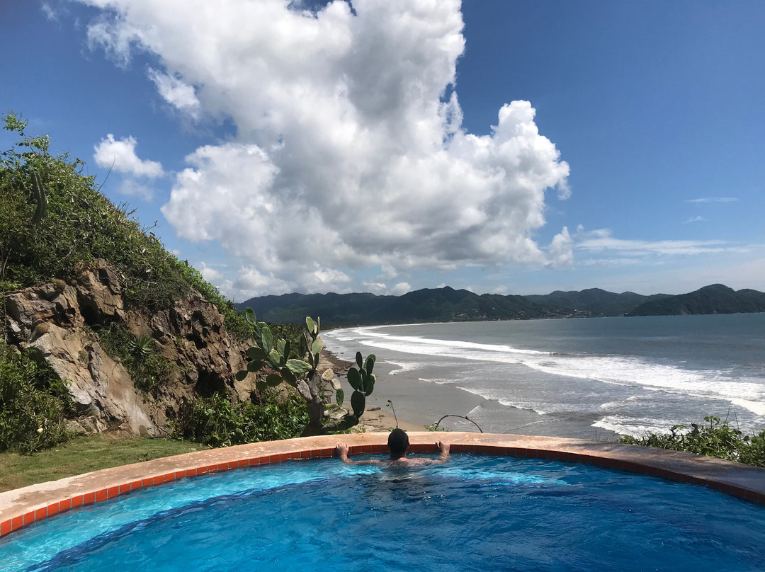 Coconuts by the Sea主图