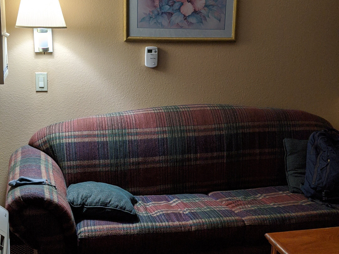 Shasta Pines Motel & Suites主图