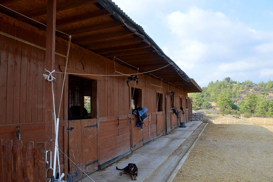 Maria's Horse Trekking-Lysos必去景点