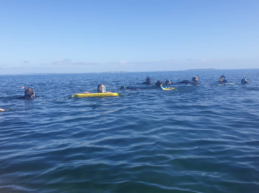Motutapu Outdoor Education Camp-奥克兰中心地区必去景点