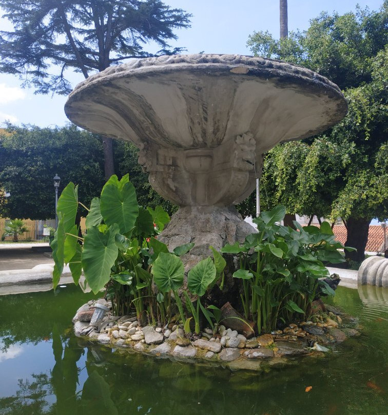 Centro Storico景点图片