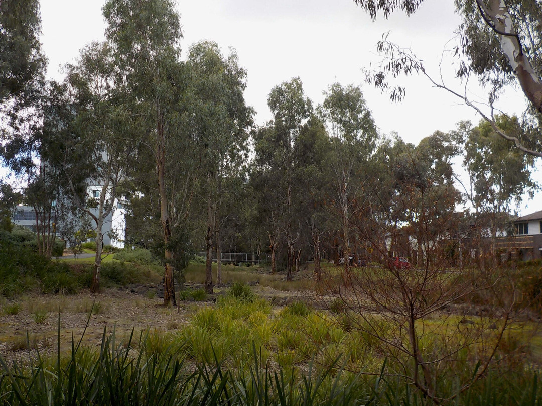 Bunjil Way Playground-墨尔本必去景点