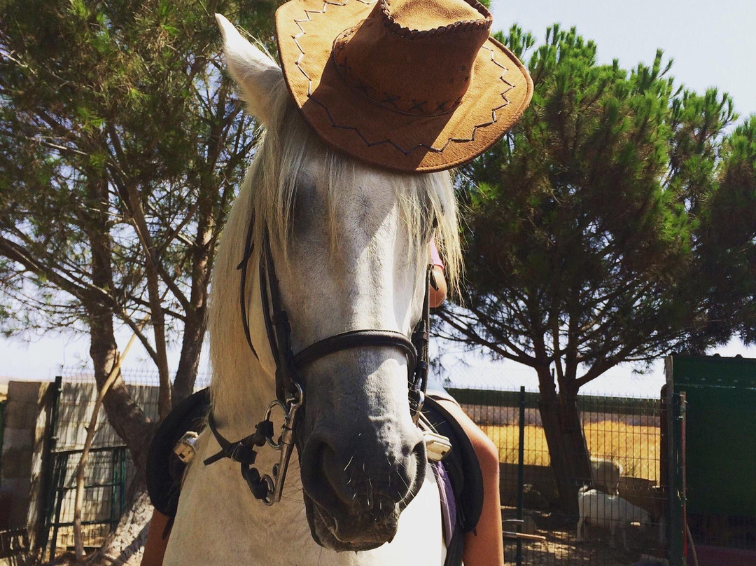 Trex Andalucia-图雷必去景点