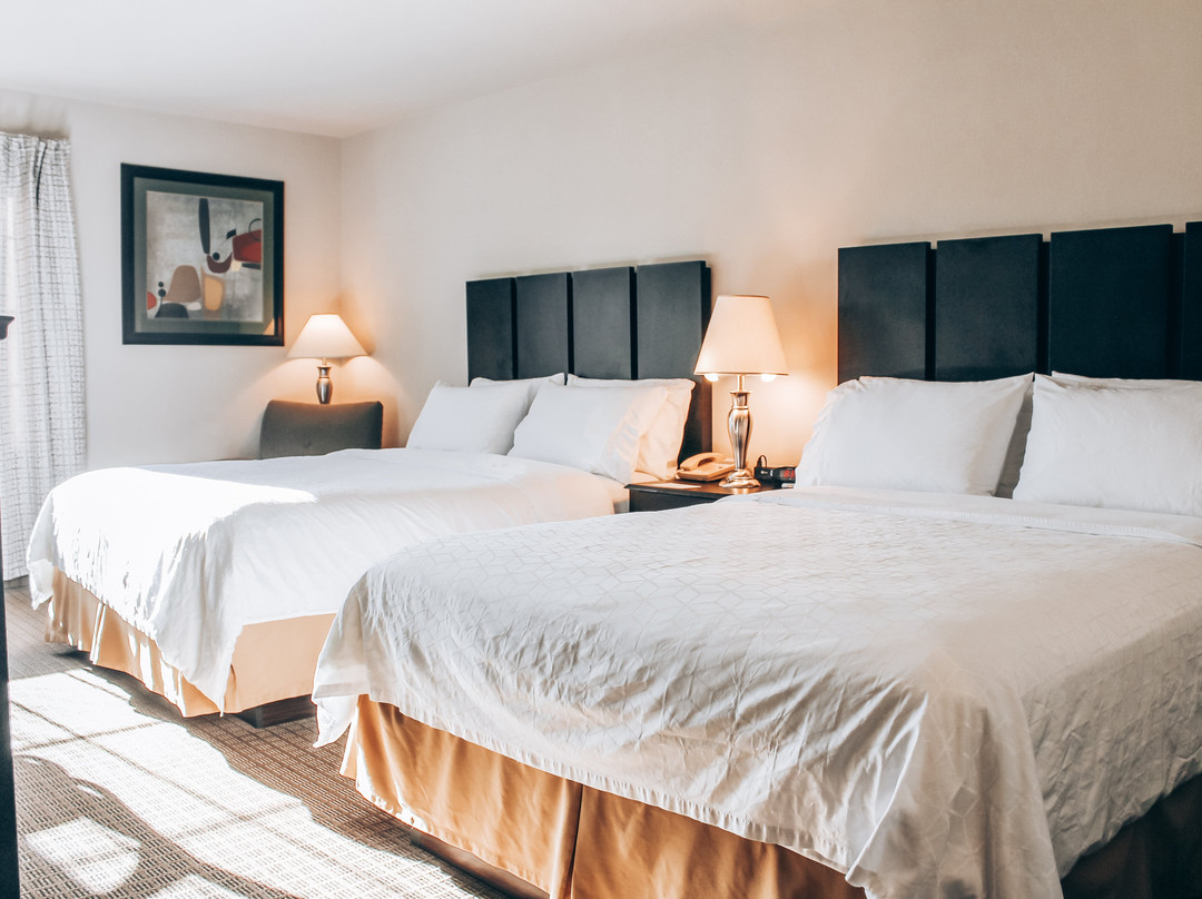 Lucille's Hotel主图