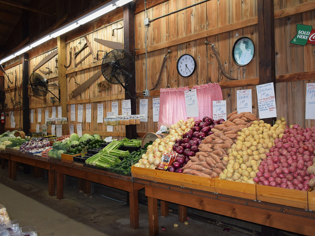Szalay's Sweet Corn Farm-Peninsula必去景点
