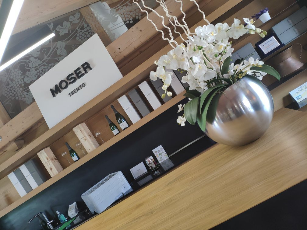 Cantine Moser景点图片