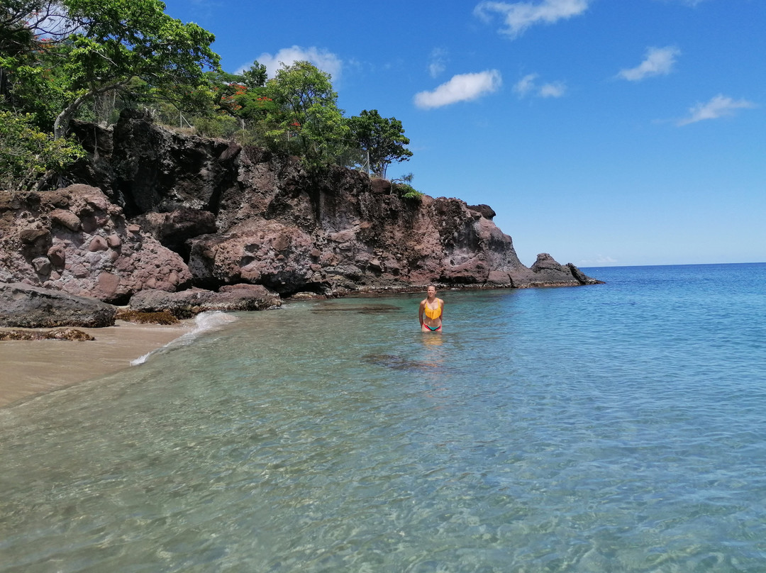 Les Calebassiers主图