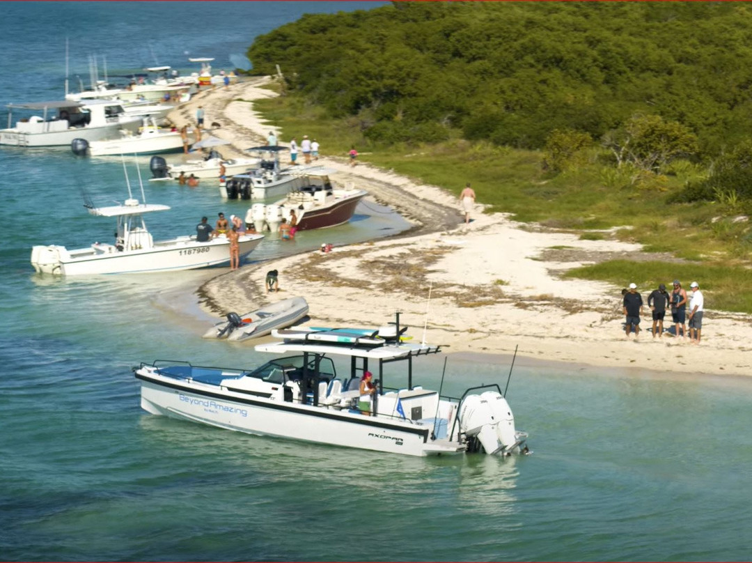 Beyond Amazing Key West Charters-基韦斯特必去景点