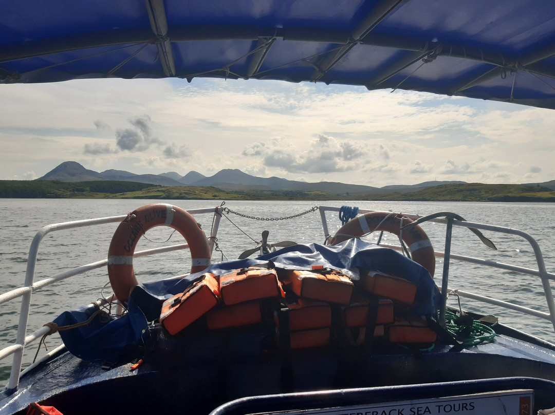 Letterfrack Sea Safari Boat Tours-戈尔韦必去景点
