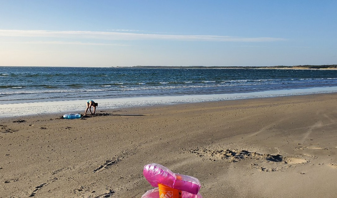 Shallow Bay Beach景点图片