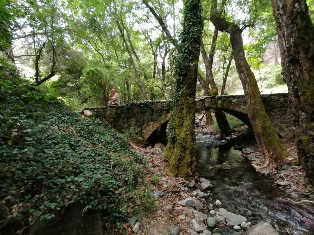 Milia Medieval Bridge-帕拉翠斯必去景点