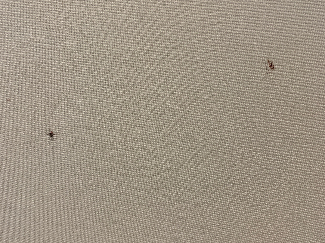 Hotel Klub Sosnowy主图