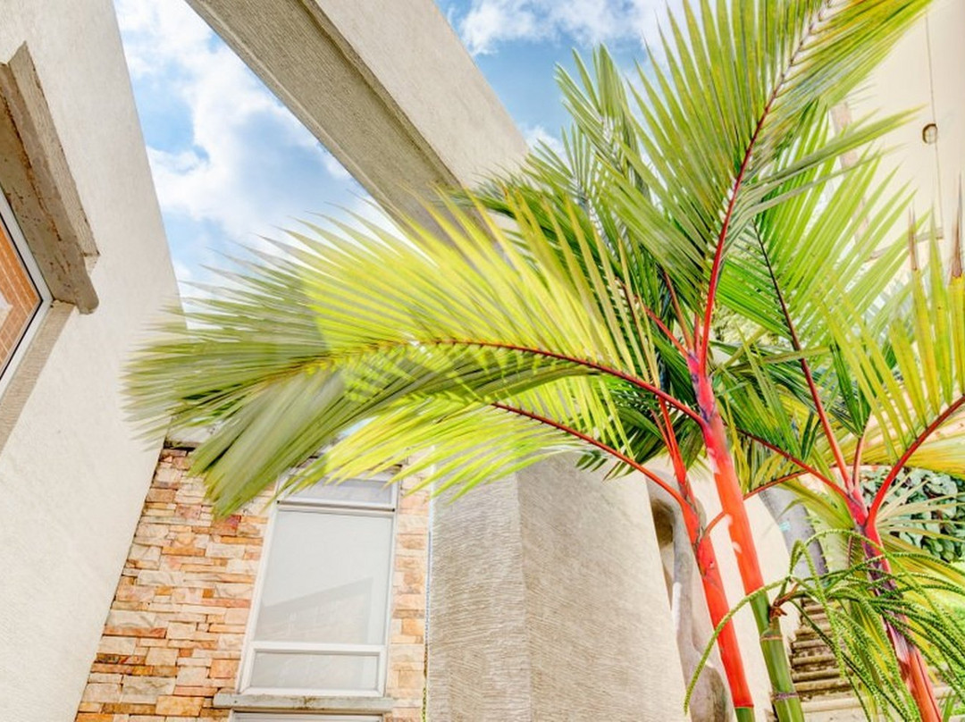 Apartamentos Amoblados Cali Habita Suites主图