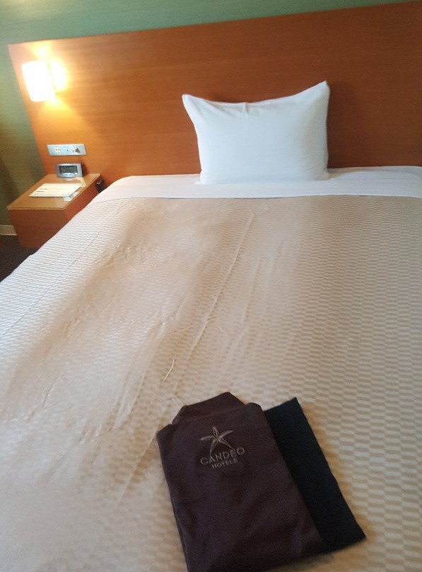 半田光辉酒店主图