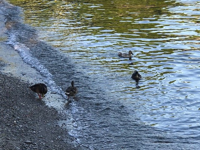 Hotel Beata Giovannina主图