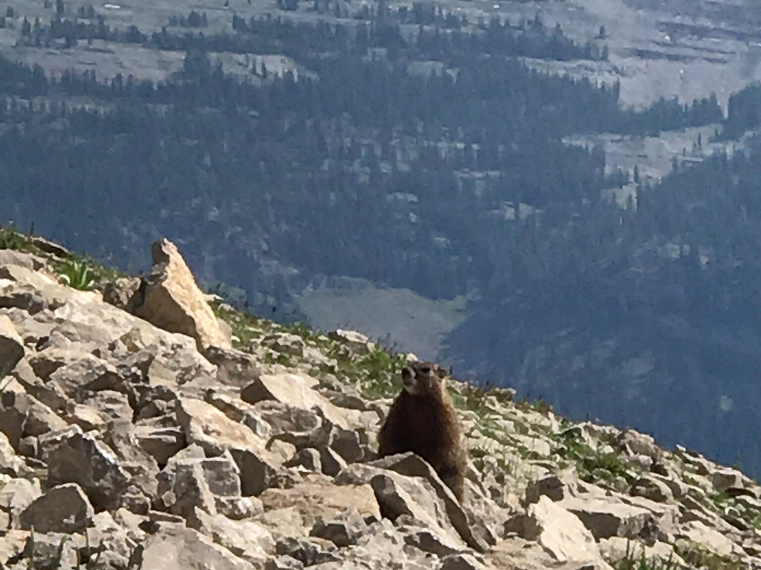 格兰德塔吉洛奇度假村主图