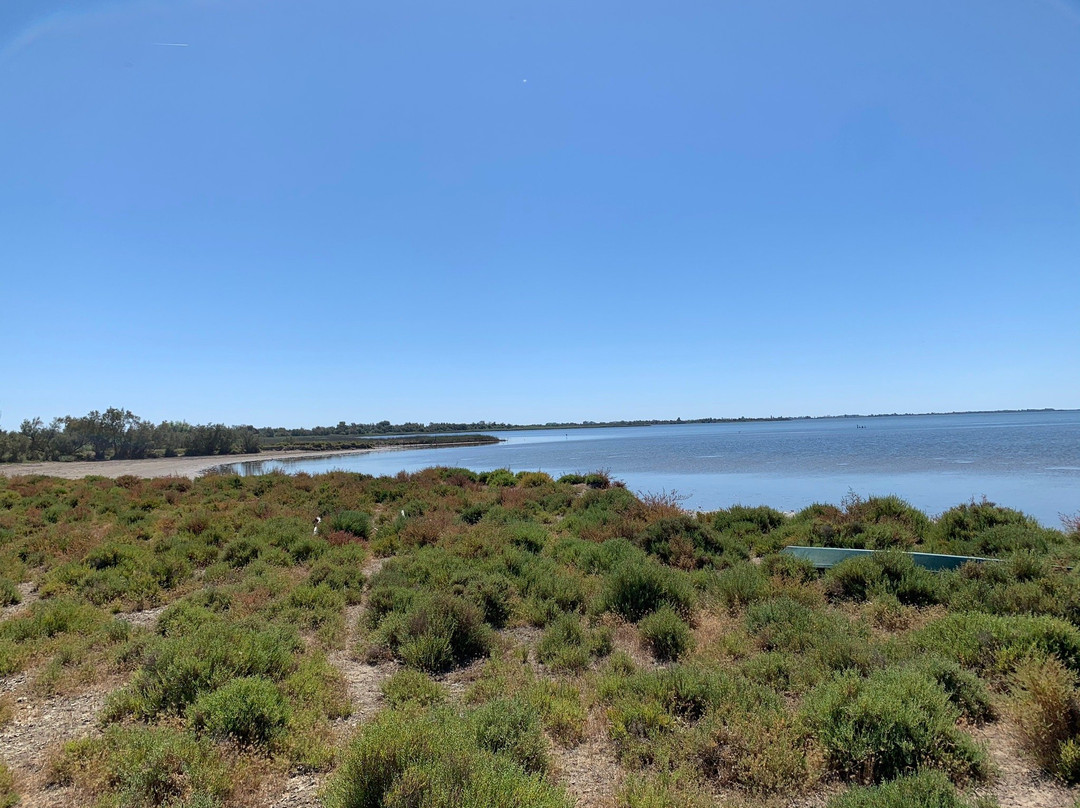 Mas Saint-Germain主图