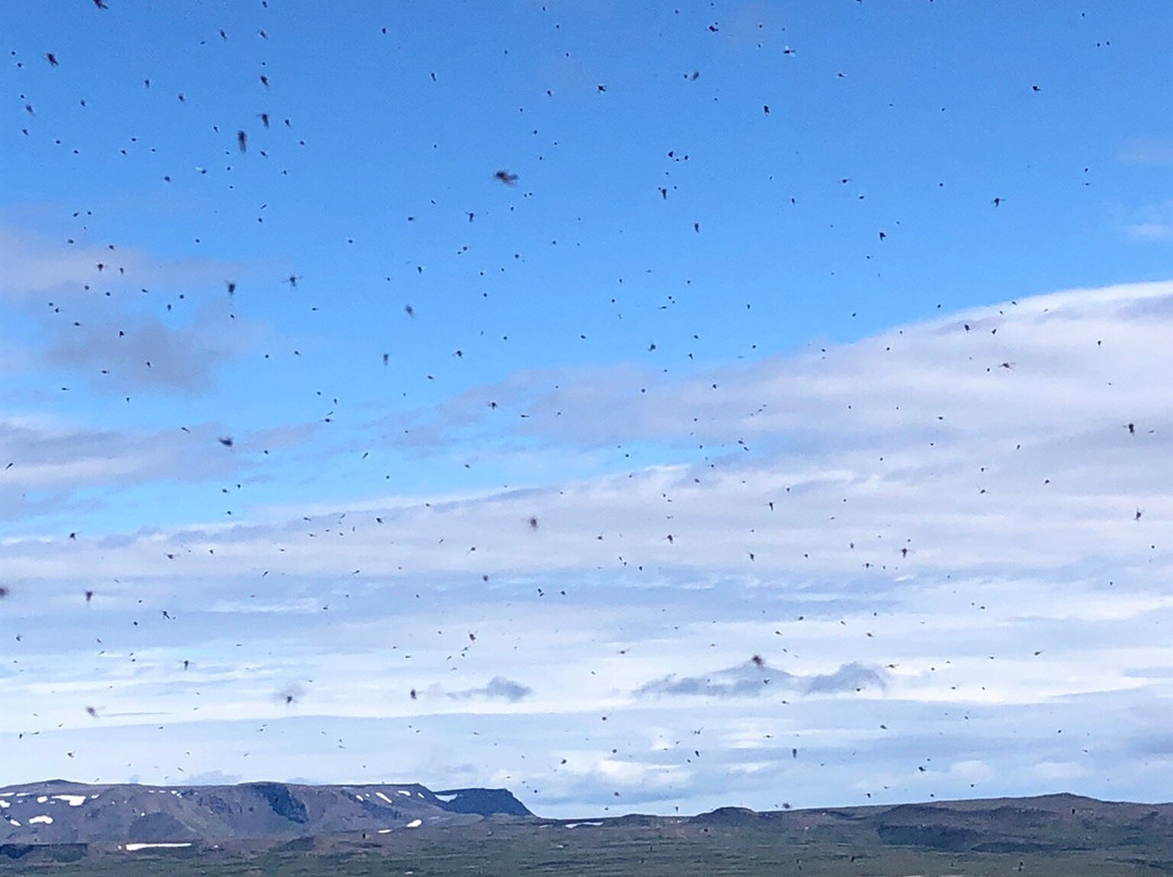 Vindbelgjarfjall-米湖必去景点