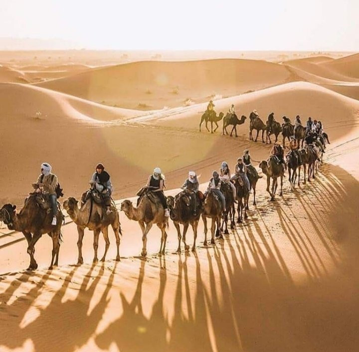 Chebbi Morocco Tours-卡萨布兰卡必去景点