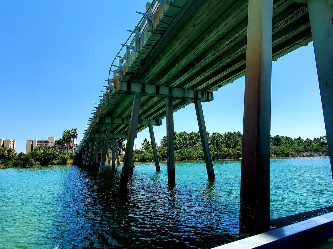 Blue Dolphin Cruises-Perdido Key必去景点