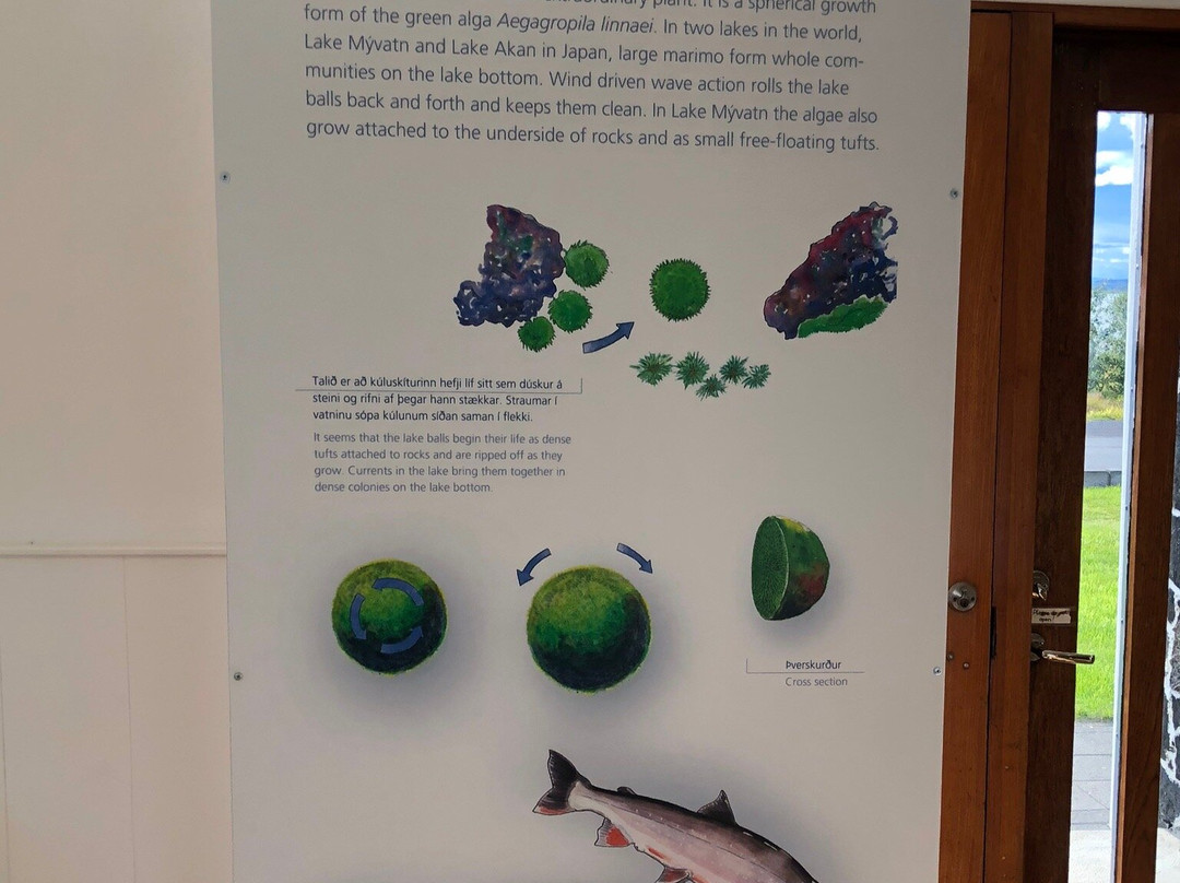 Myvatn Visitor Center-雷克雅里德必去景点