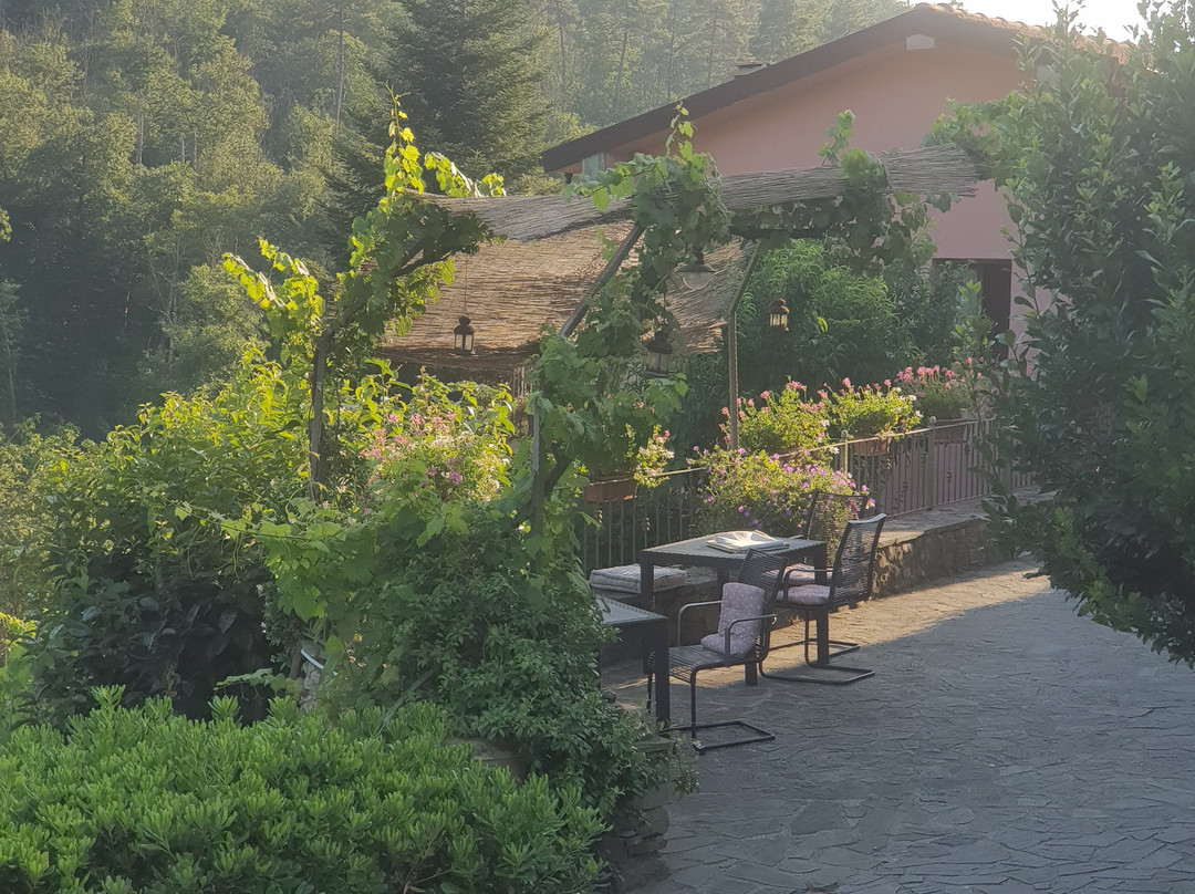 B&B Il Tulipano主图