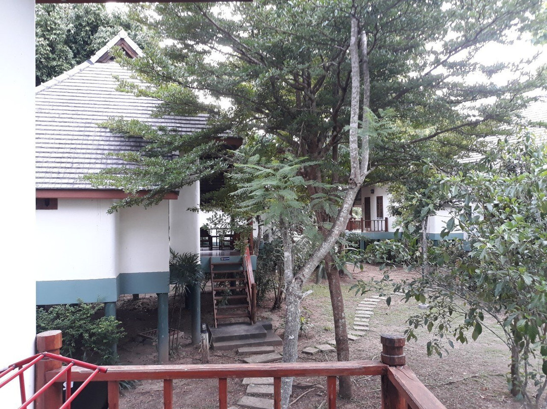 Pai Flora Resort主图