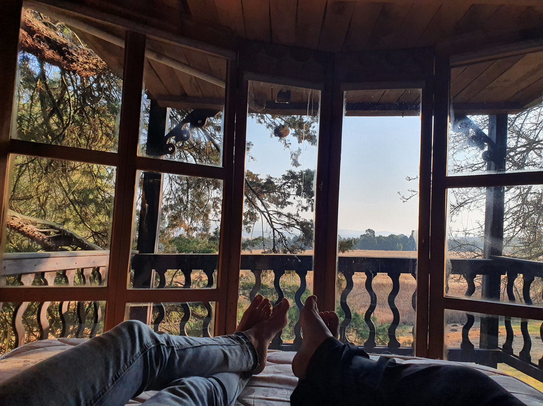 Sycamore Avenue Treehouses主图